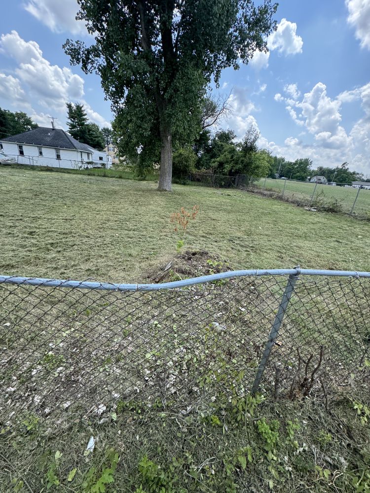 Landscaping Lawn Care for Daugherty's Tough Lawn Care in Essexville, MI