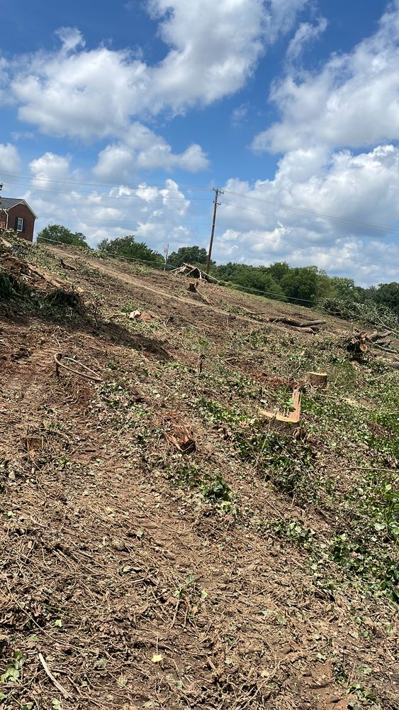 All Photos for Ace Tree Service  in Fuquay-Varina, NC