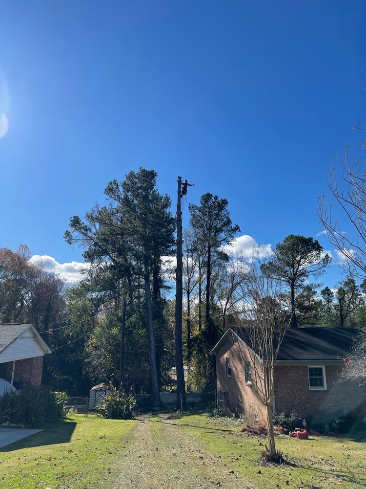 24/7 Storm Response for Sasquatch Tree Services LLC in Spartanburg, SC