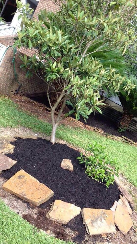 Lawn Care for Mitchell Maintenance in Dickinson, TX