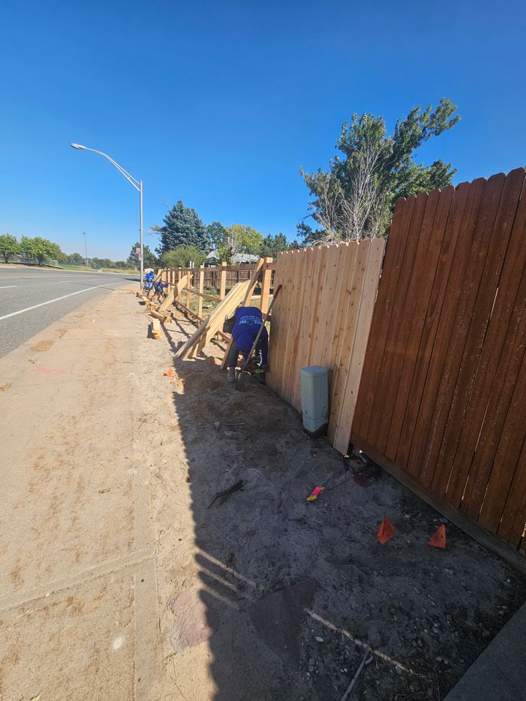 All Photos for NGL Landscape Company in Denver, CO