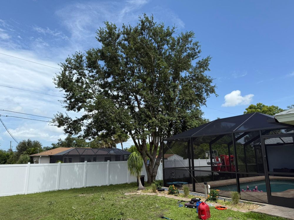 All Photos for MX Trees in Englewood, FL