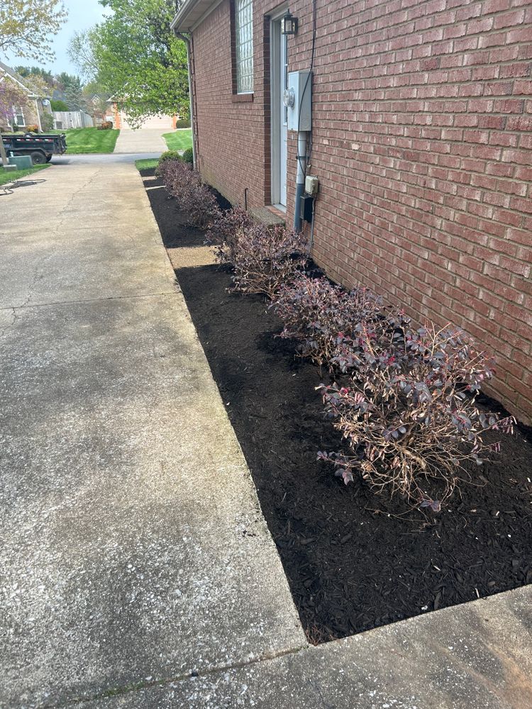 All Photos for Optimum Tree Service And Landscaping in Bowling Green, KY