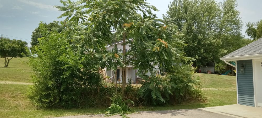 All Photos for Bakers Landscape & Design in East Liverpool, OH