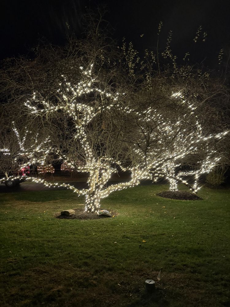 Holiday and Event Lighting Installs for Unique Outdoor Lighting in Short Hills, NJ