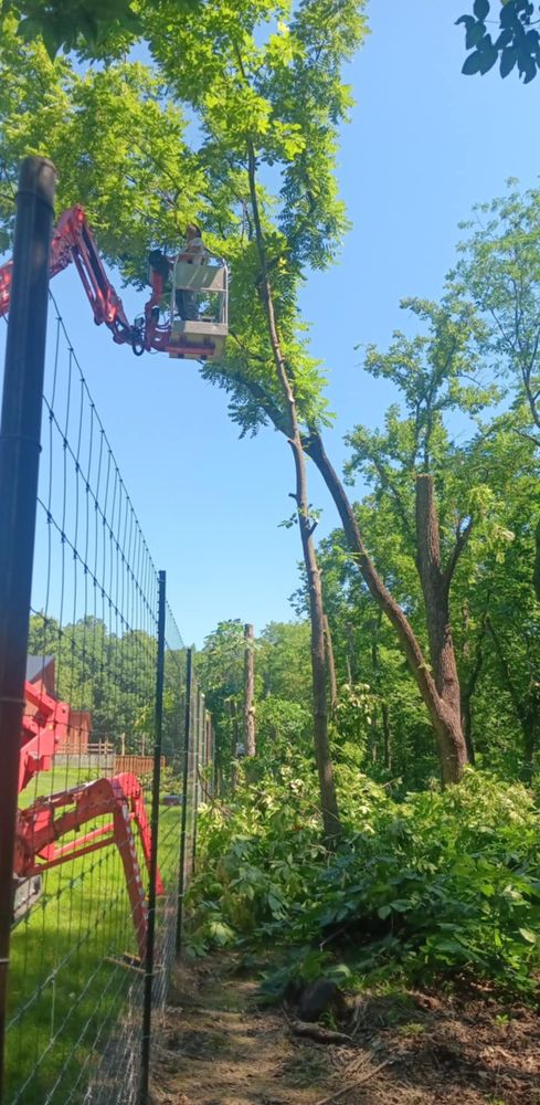 All Photos for Lawn Ranger Yard And Tree Service LLC in Ottumwa, IA