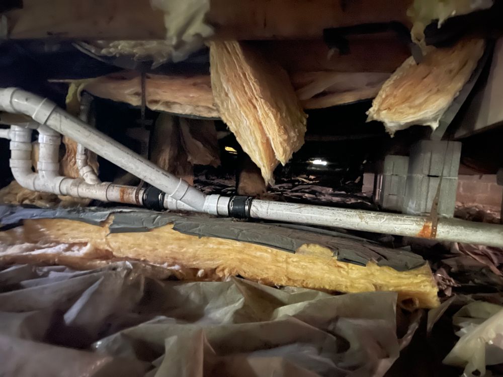 All Photos for All-In Pest Control & Home Solutions in Greene County, IN