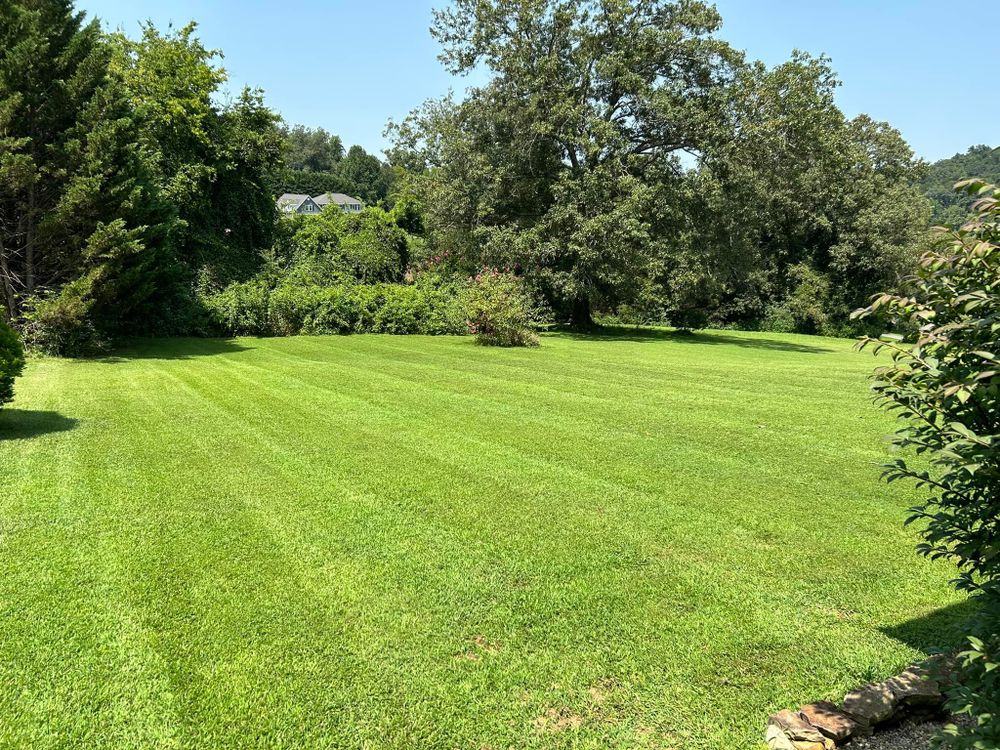 All Photos for TJ’s Landscaping in Knoxville, TN