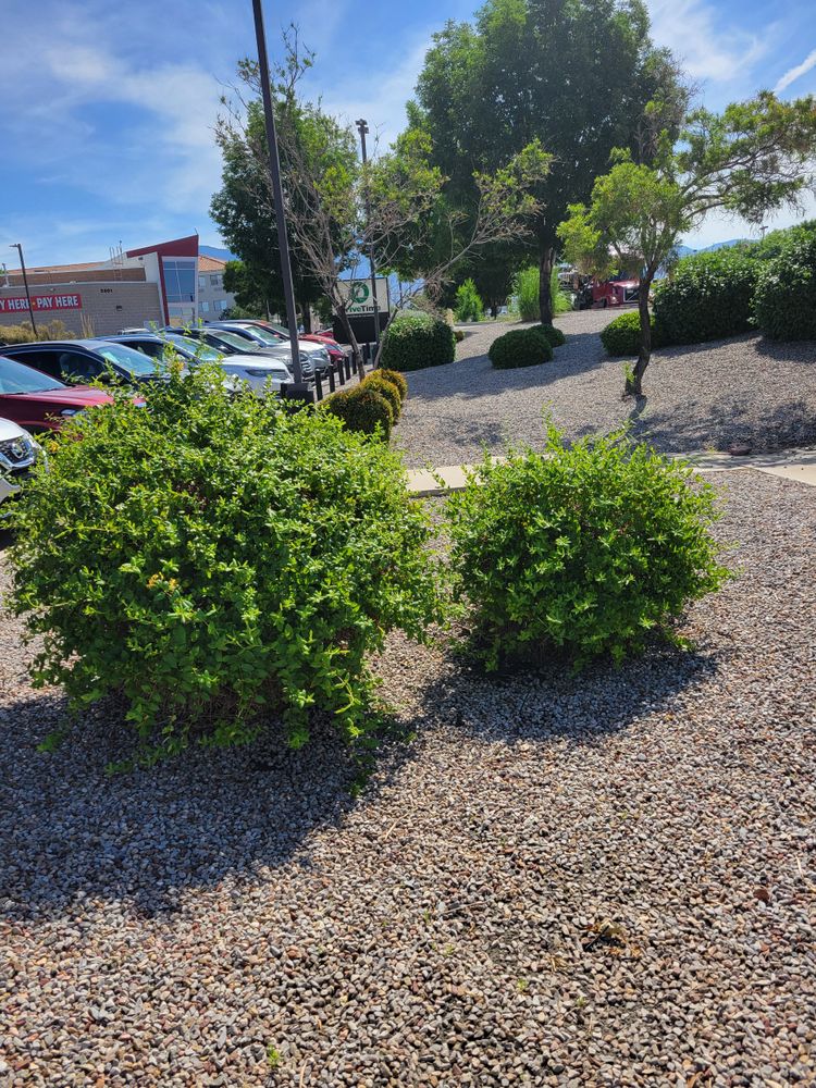 All Photos for 2 Brothers Landscaping in Albuquerque, NM