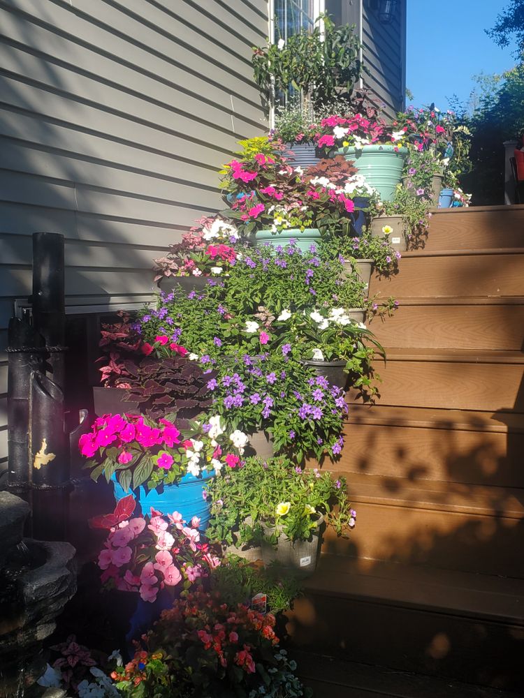 All Photos for Evolution Earthscapes, LLC in Ludlow, MA