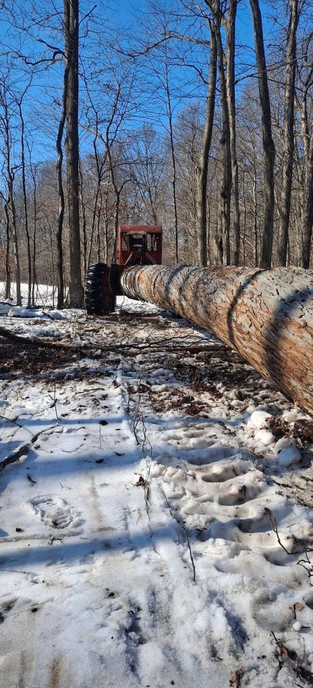 All Photos for God's Country Timber Management in Hillsdale, MI