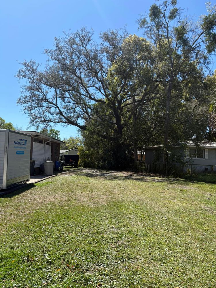 All Photos for Top Notch Tree Experts in Orange Park, FL
