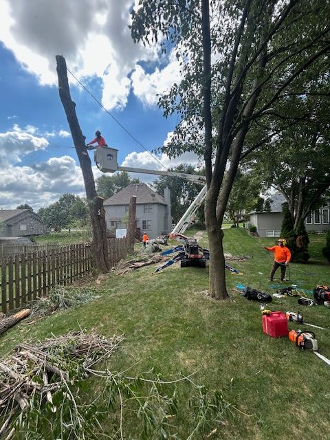 All Photos for Cross Family Tree Service in Kearney, MO