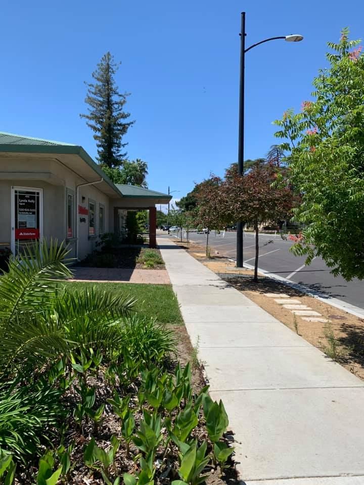 All Photos for Lalo's Tree Service in Willows, CA