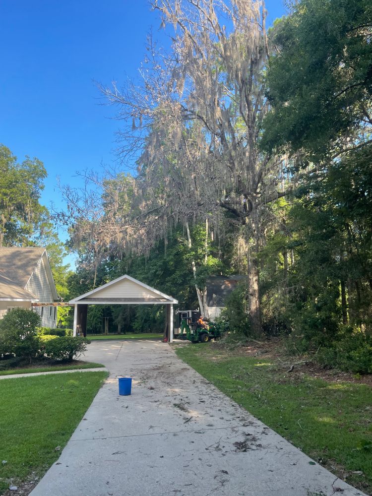 All Photos for Tates Tree Service in Tallahassee, FL