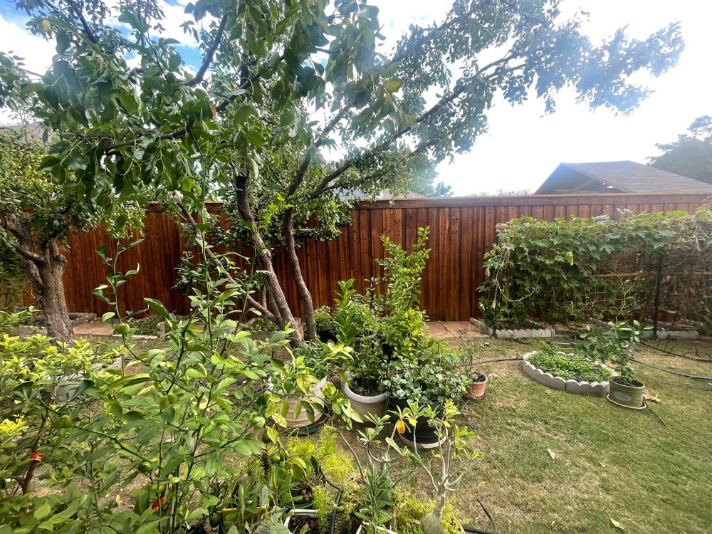 Other Services for Perfect Fencing in Fort Worth, TX