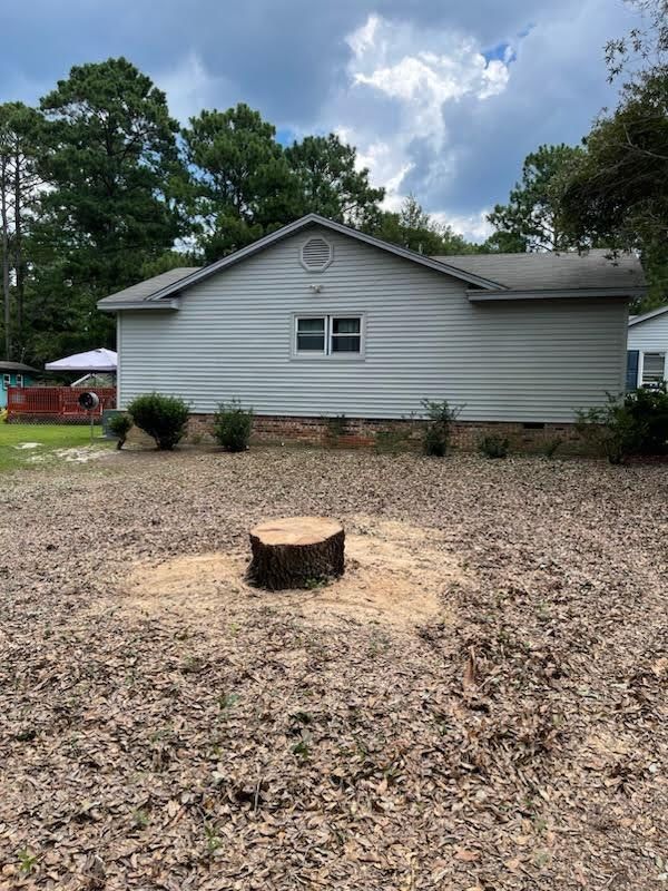 Tree Removal for Tucker's Tree Service and Stump Grinding in Lugoff, SC