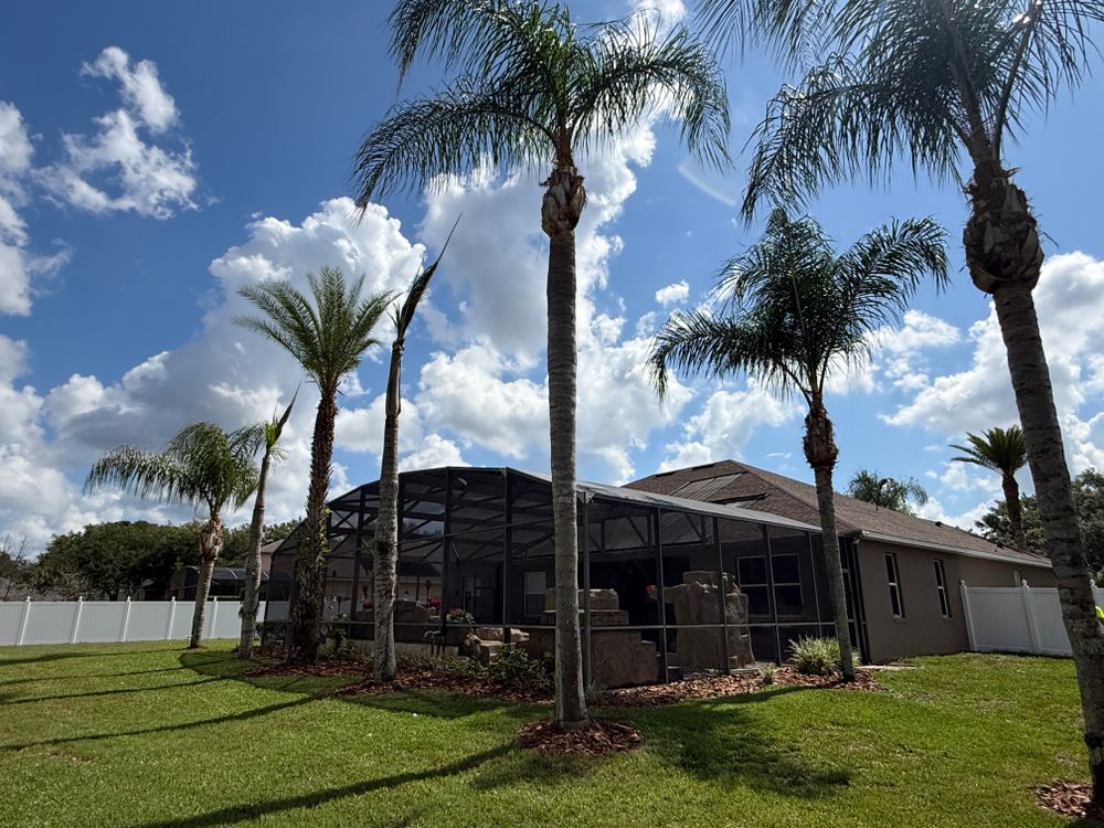 All Photos for Amerigrown Tree And Lawn in Apopka, FL