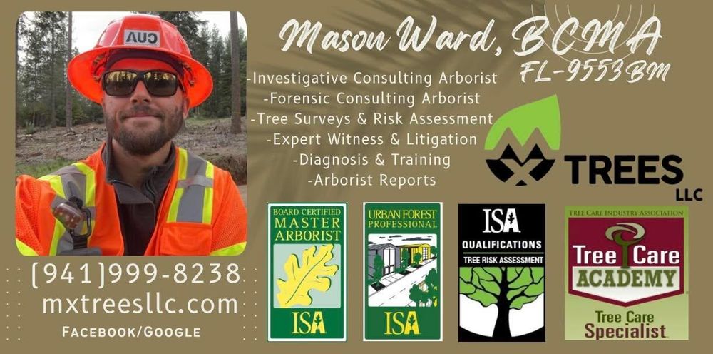 All Photos for MX Trees in Englewood, FL