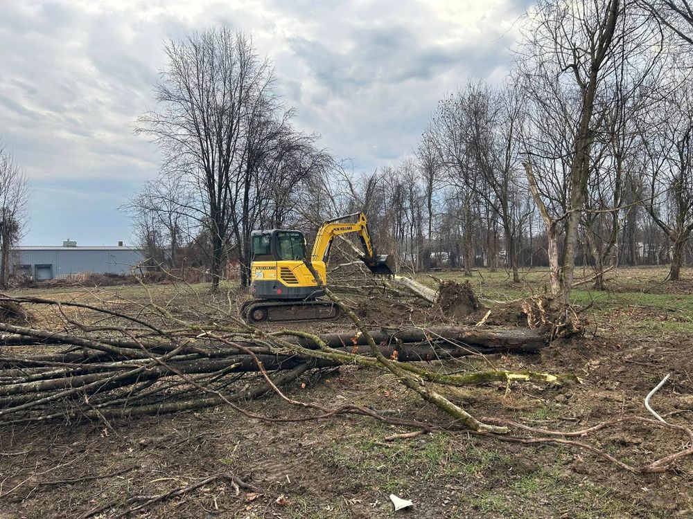 Our tree removal service safely removes hazardous, dead, or unwanted trees from your property using professional equipment and expert crews, protecting your home, landscape, and family with efficient care. for KJ’s Tree Service & More LLC in Fraziers Bottom, WV