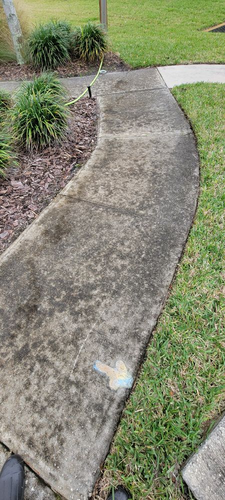 All Photos for Blue Stream Roof Cleaning & Pressure Washing in Tampa, FL