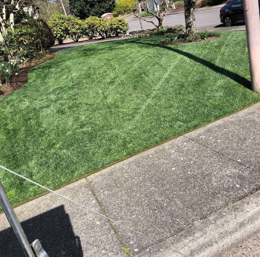All Photos for Rs lawn Care llc in Beavertown, OR