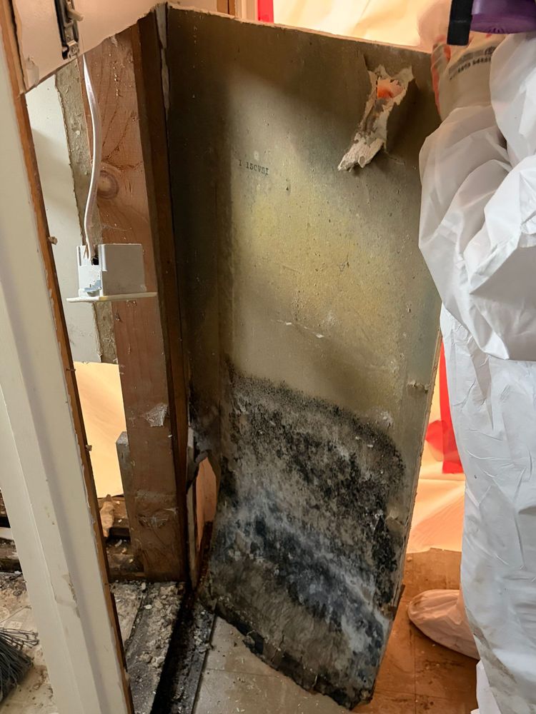 Asbestos Abatement for ACM Environmental in Salt Lake City, UT