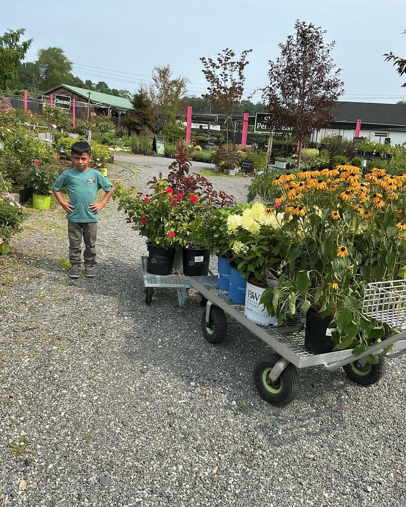 All Photos for F Carias Irrigation Specialist INC in Southborough, MA