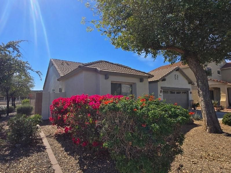 All Photos for H1 Painting Plus LLC in Surprise,  AZ