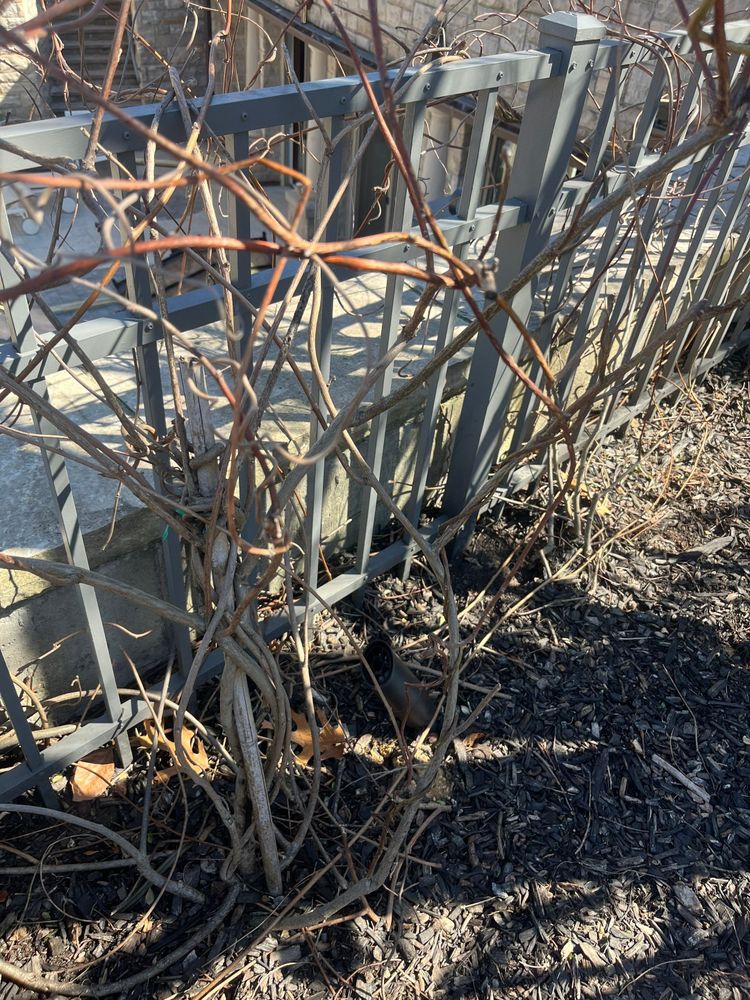 All Photos for Elegant Lawns & Landscaping in Inwood, NY