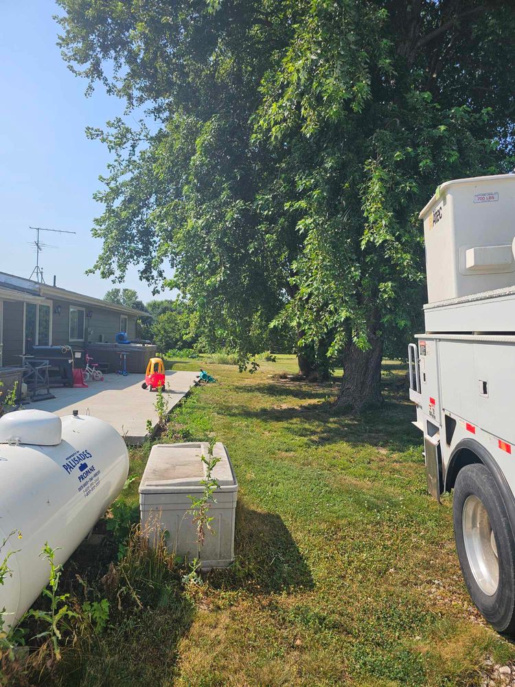 Tree Removal for Tree Tech in Luverne, MN