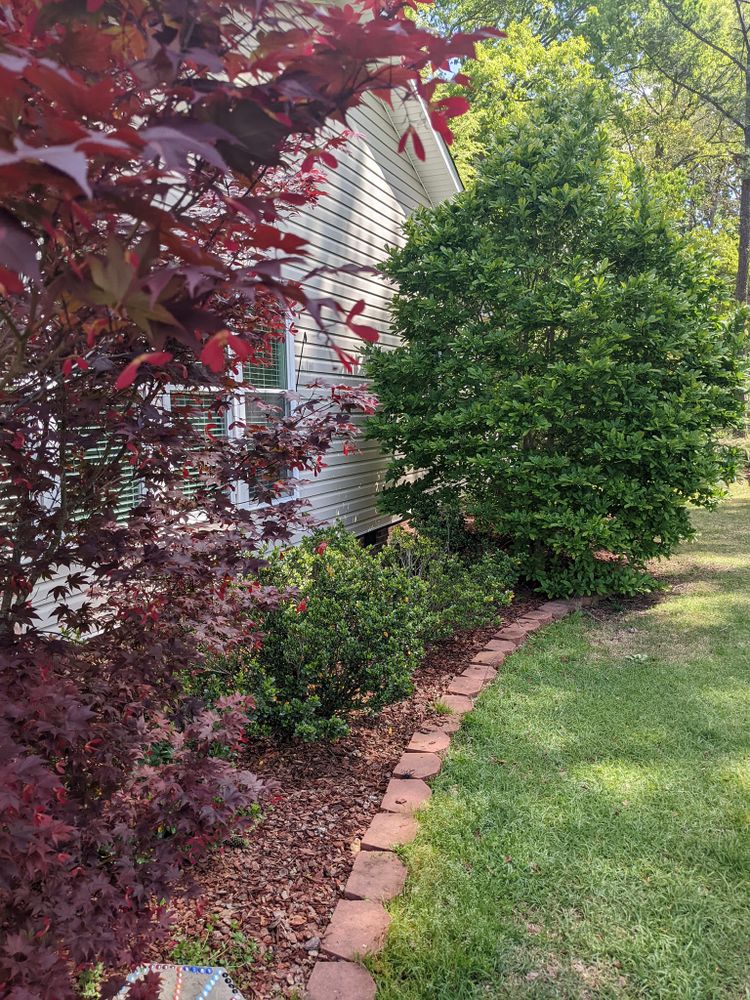 All Photos for Expert Pressure Washing LLC in Raleigh, NC