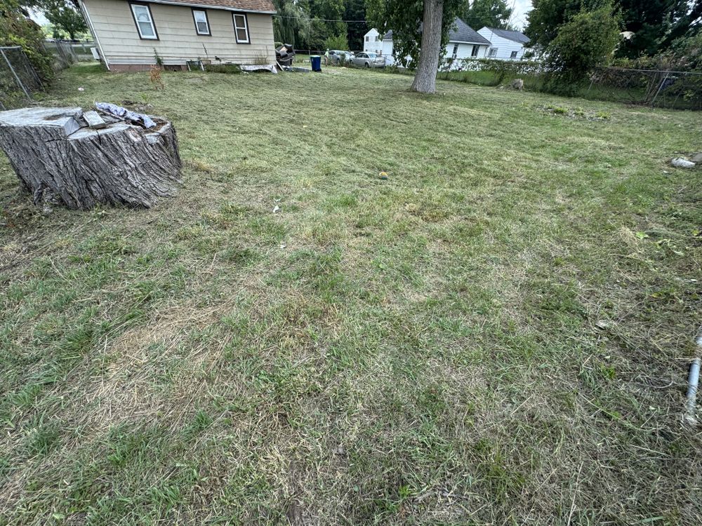 Landscaping Lawn Care for Daugherty's Tough Lawn Care in Essexville, MI