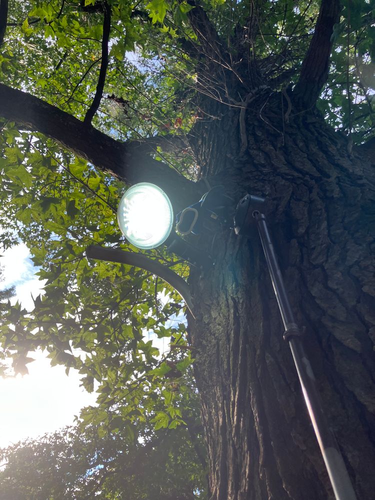 All Photos for Honey Do Electrical Services in Morrow, GA