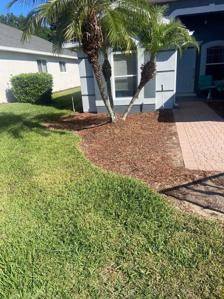 Fall and Spring Clean Up for Efficient and Reliable Tree Service in Lake Wales, FL