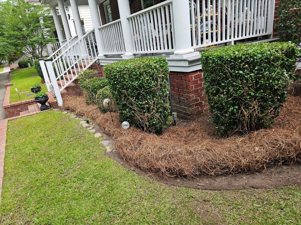 All Photos for 1 Man Does It Lawn Service in Blythewood, SC