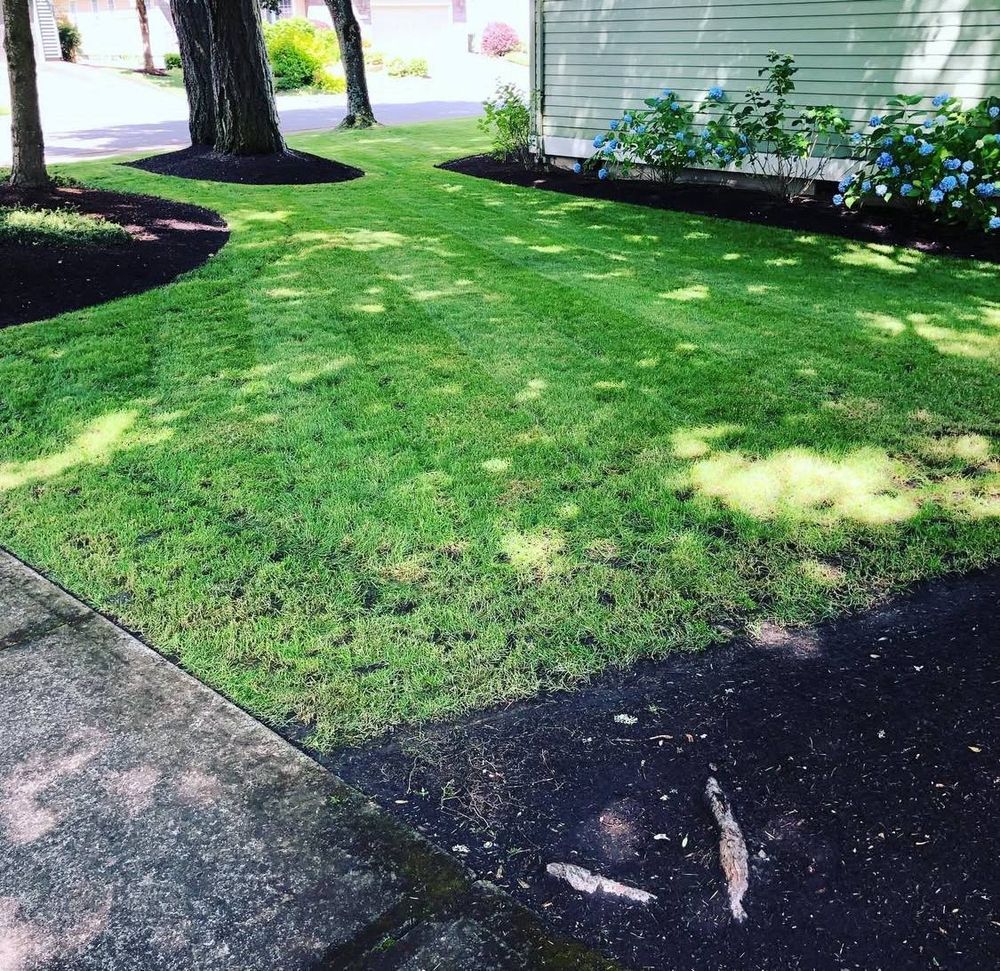 All Photos for Rs lawn Care llc in Beavertown, OR