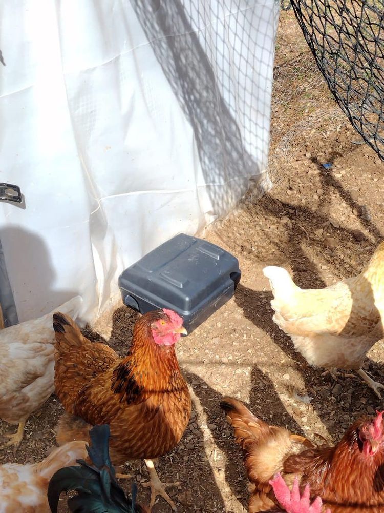 All Photos for Winecoff Pest Control in Salisbury, NC