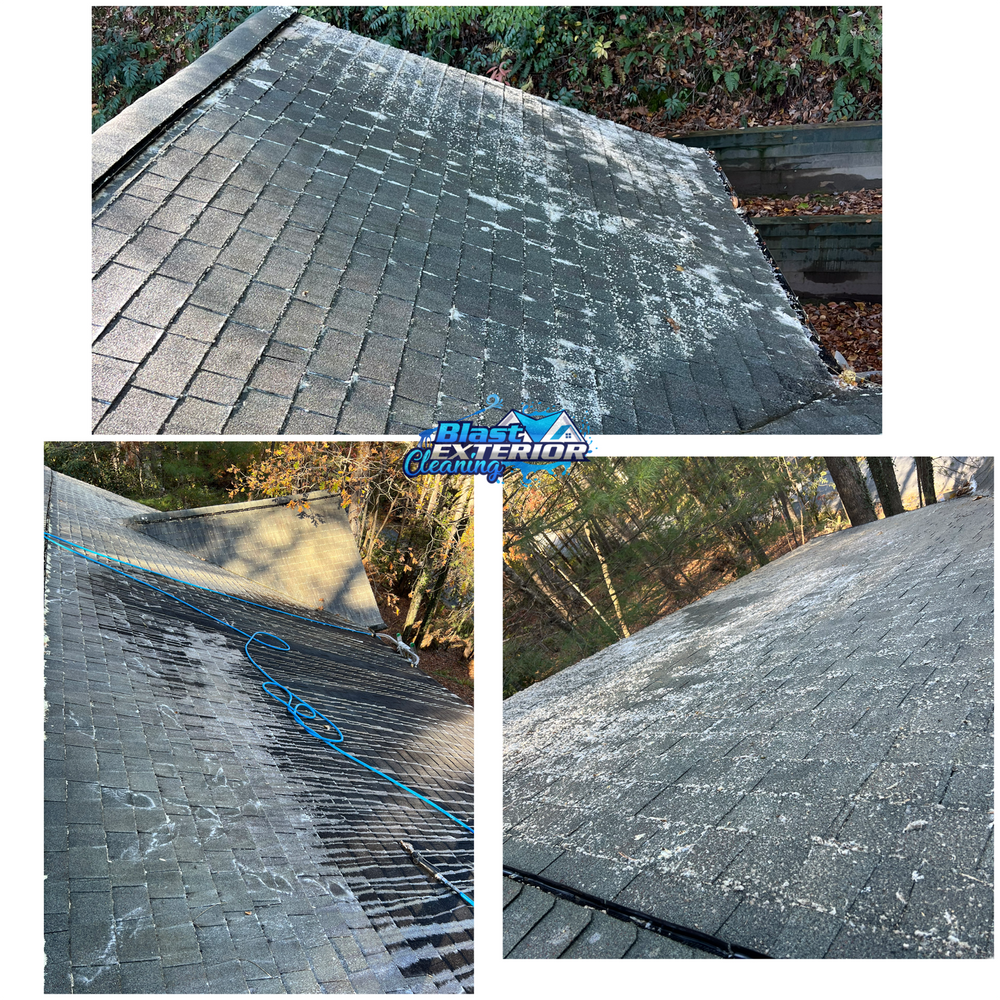 All Photos for Blast Exterior Cleaning in  Hendersonville, NC