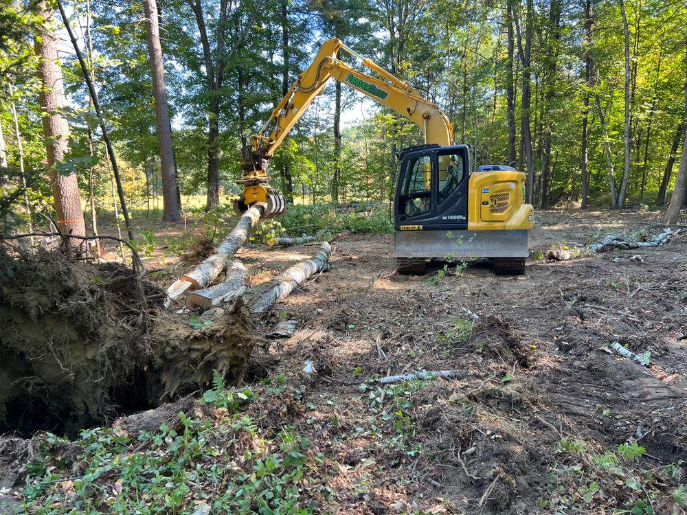 All Photos for Forever Green Landscaping in Poultney, VT