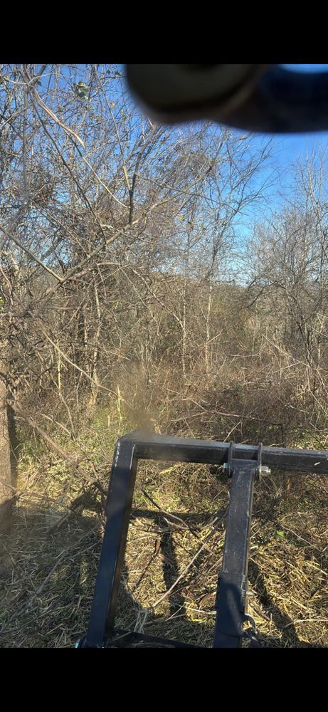 Land Clearing for Gregory Grass and Land in Lafayette, TN
