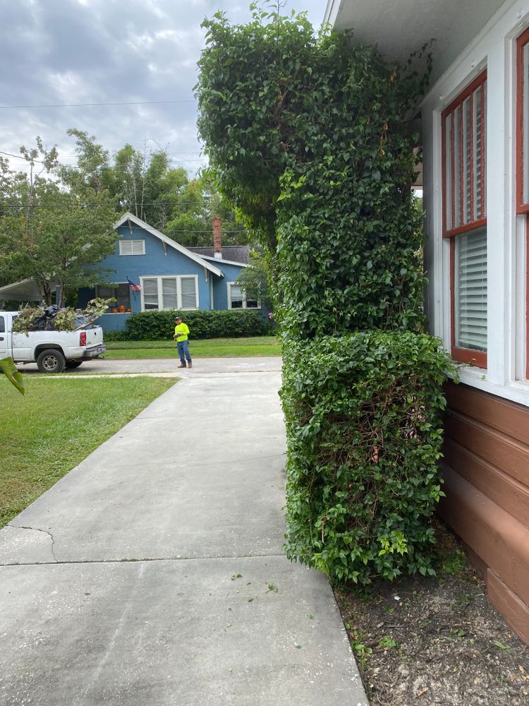 All Photos for Nunez Concrete & Landscape LLC in Tampa Heights, FL