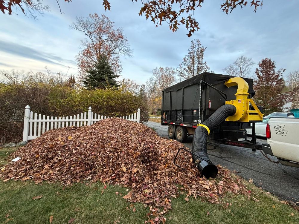 Our storm damage clean up service quickly restores your property after severe weather, removing debris and ensuring safety while maintaining the integrity of your landscape and hardscape. for MDR Landscaping in Urbana, IL