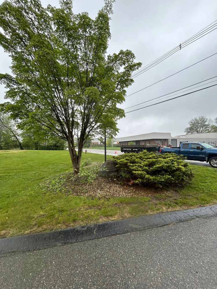 Enhance your home's curb appeal with our professional landscaping services, featuring expert lawn care, garden design, and regular maintenance to create a welcoming and beautiful outdoor environment for you to enjoy. for Lucas Property Maintenance LLC in New Bedford, MA
