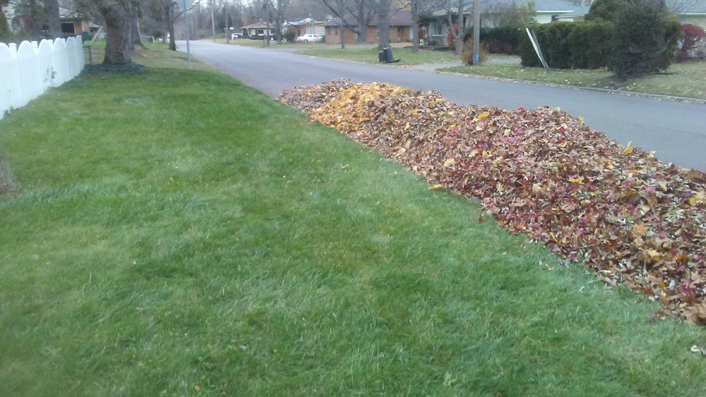 Tree Removal for Beckenbaugh Tree & Lawn Service in Lewistown, PA