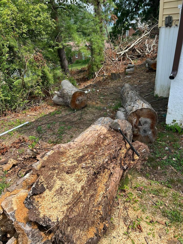 All Photos for NRV Tree Pro, LLC in Narrows, VA