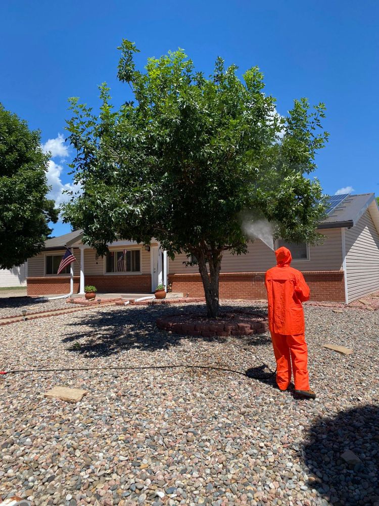 All Photos for Raton Property Maintenance in Raton, NM