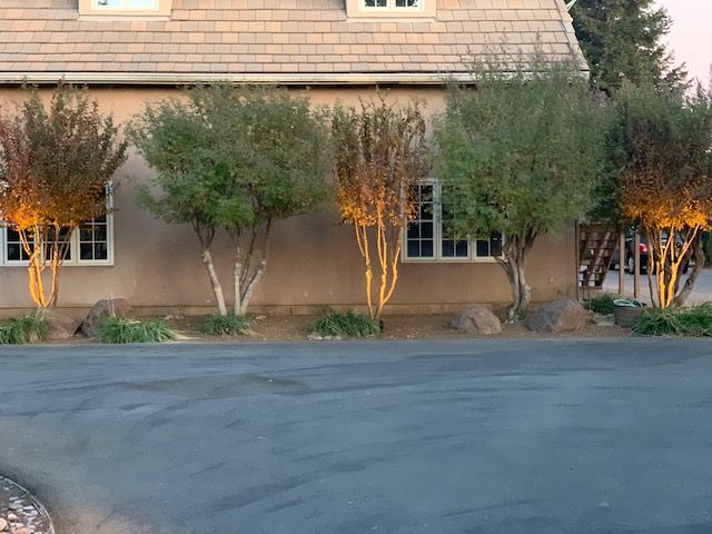 Landscape Lighting and Artificial Turf for Blue Water Landscape Services in El Dorado Hills, CA