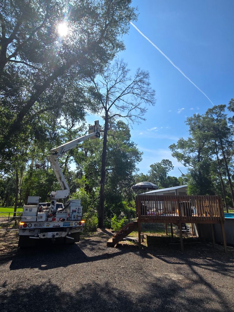 All Photos for Near Me Tree Service, Inc. in DeLand, FL