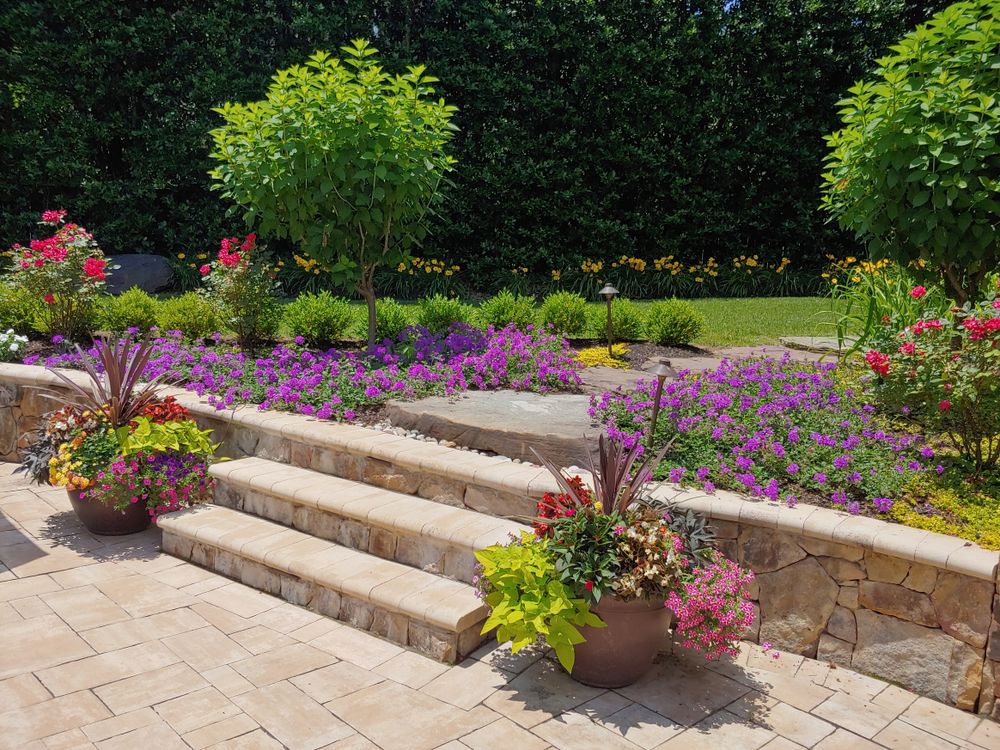 All Photos for M&M Professional Landscaping in Sterling, VA
